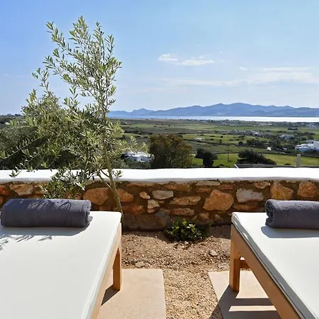 Willa Luxury Paros Villa Villa Kallihroe Privacy & Luxury Private Pool