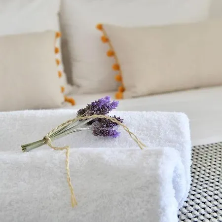 Luxury Paros Villa Villa Kallihroe Privacy & Luxury Private Pool Willa *