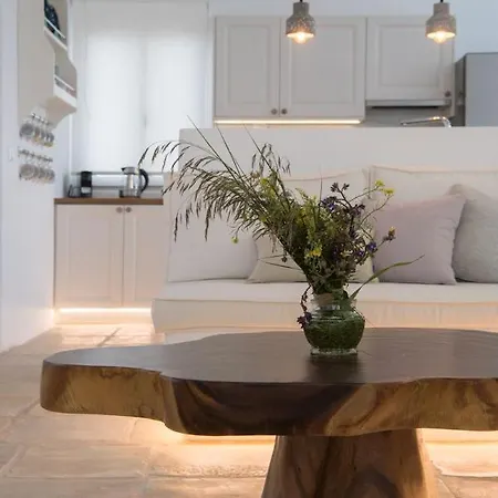 Luxury Paros Villa Villa Kallihroe Privacy & Luxury Private Pool Willa *