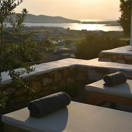 Luxury Paros Villa Villa Kallihroe Privacy & Luxury Private Pool Páros