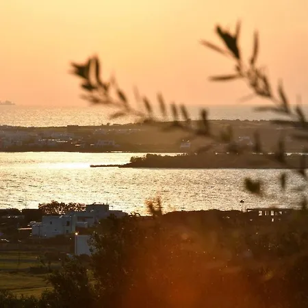 Willa Luxury Paros Villa Villa Kallihroe Privacy & Luxury Private Pool
