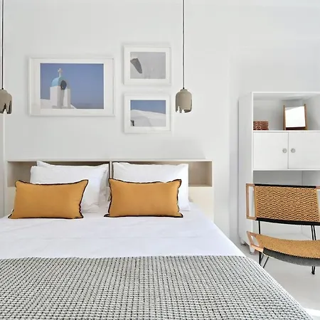 Willa Luxury Paros Villa Villa Kallihroe Privacy & Luxury Private Pool *